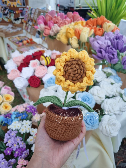 Sunflower in Pot (Decoration)